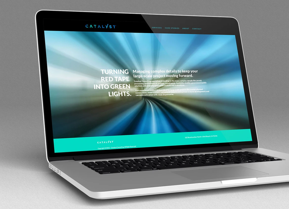 Catalyst Consulting Website Homepage